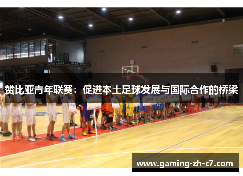 赞比亚青年联赛：促进本土足球发展与国际合作的桥梁