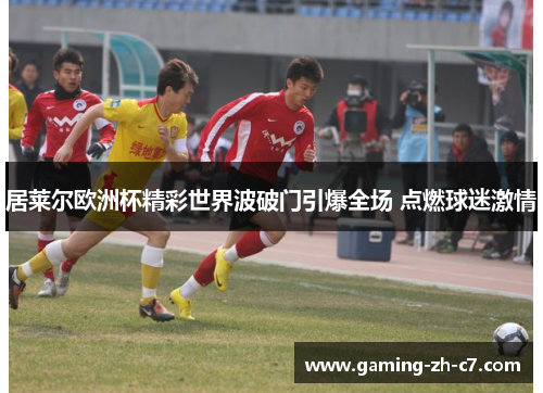 居莱尔欧洲杯精彩世界波破门引爆全场 点燃球迷激情