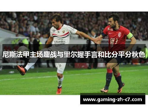 尼斯法甲主场鏖战与里尔握手言和比分平分秋色 尼斯法甲主场鏖战与里尔握手言和比分平分秋色